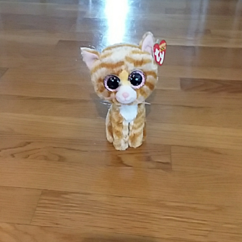 Cat beanie boo
